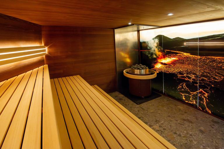 Panoramic sauna