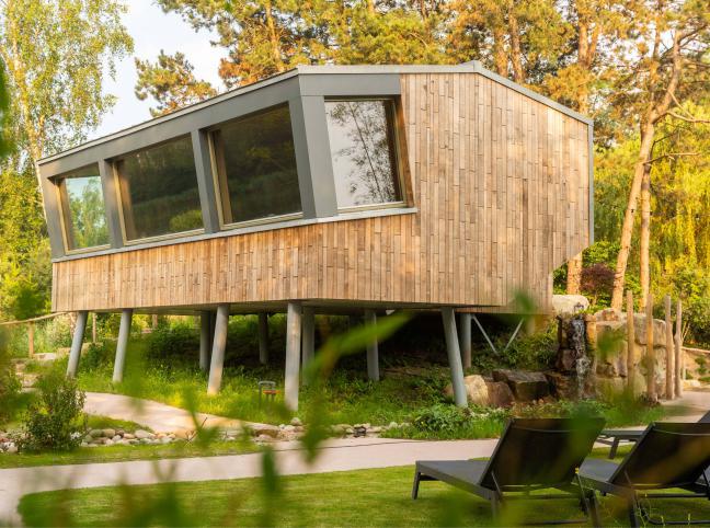 Panoramic sauna